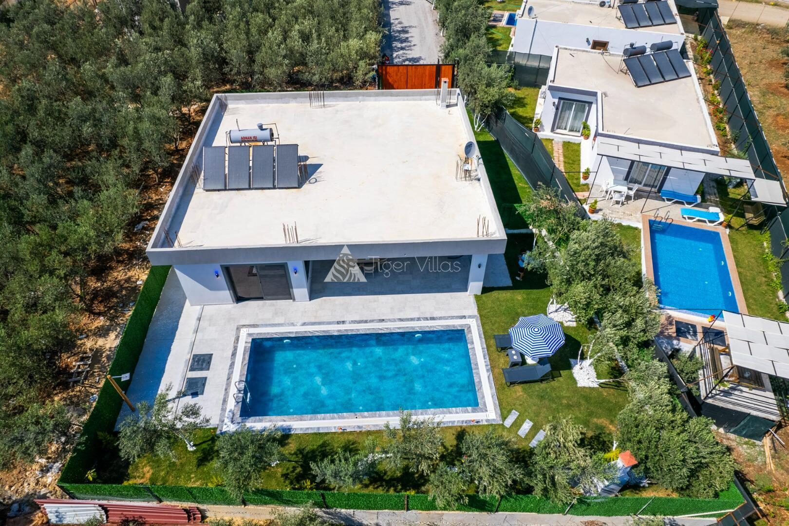 Villa Olive — 49