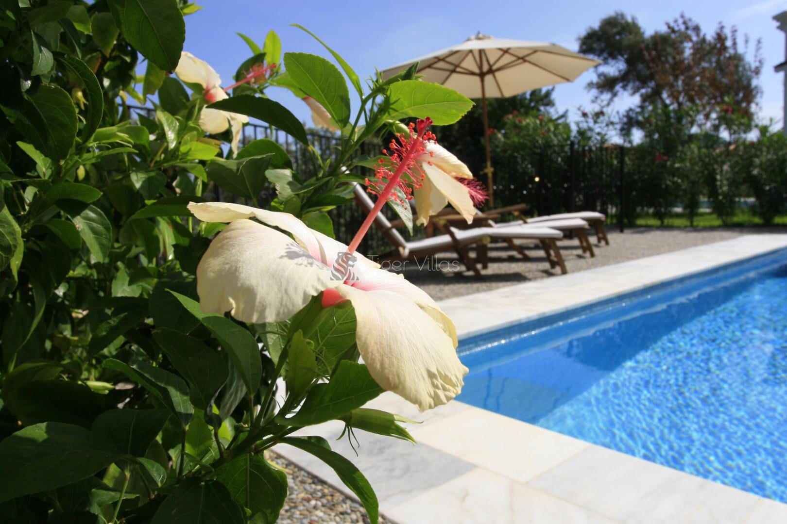 Villa Vgm 403 — 8