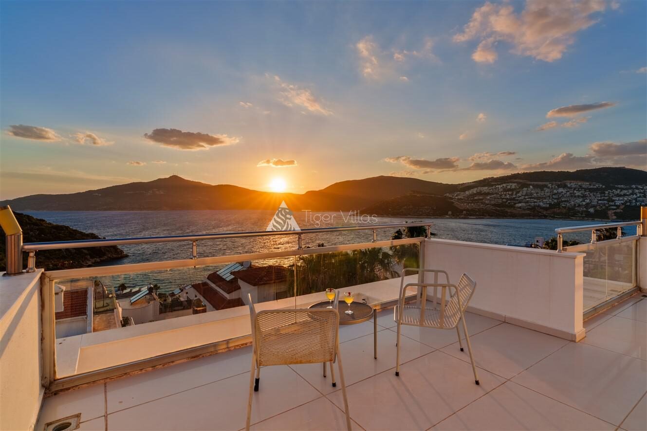 Villa Muz — 1
