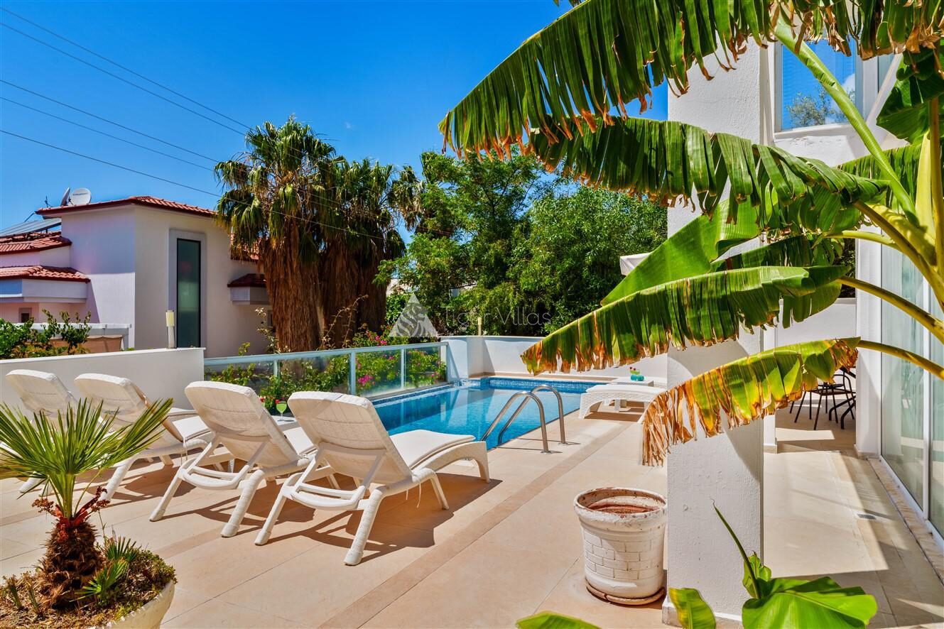 Villa Muz — 41