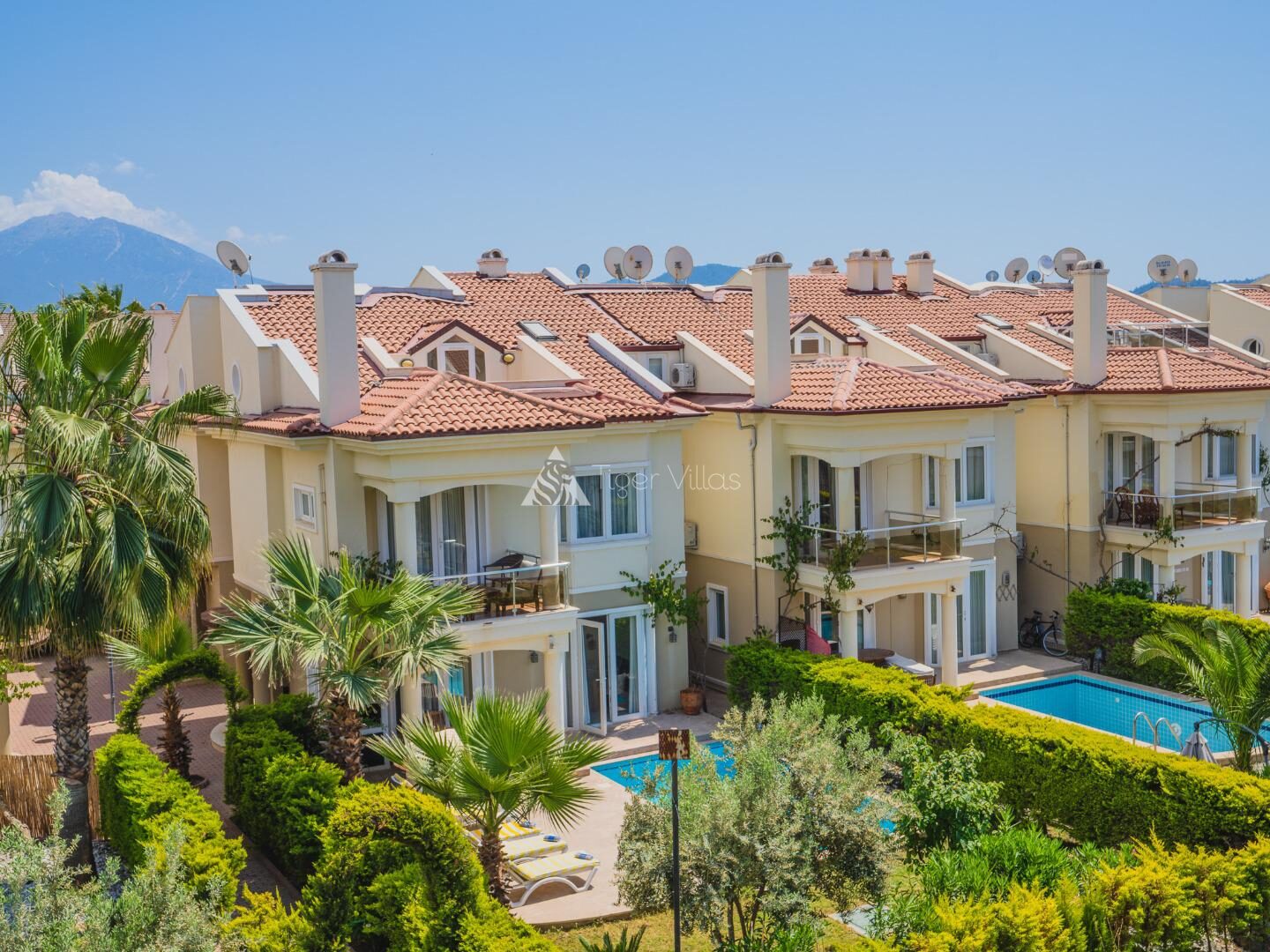 Villa Starfish 3 — 40