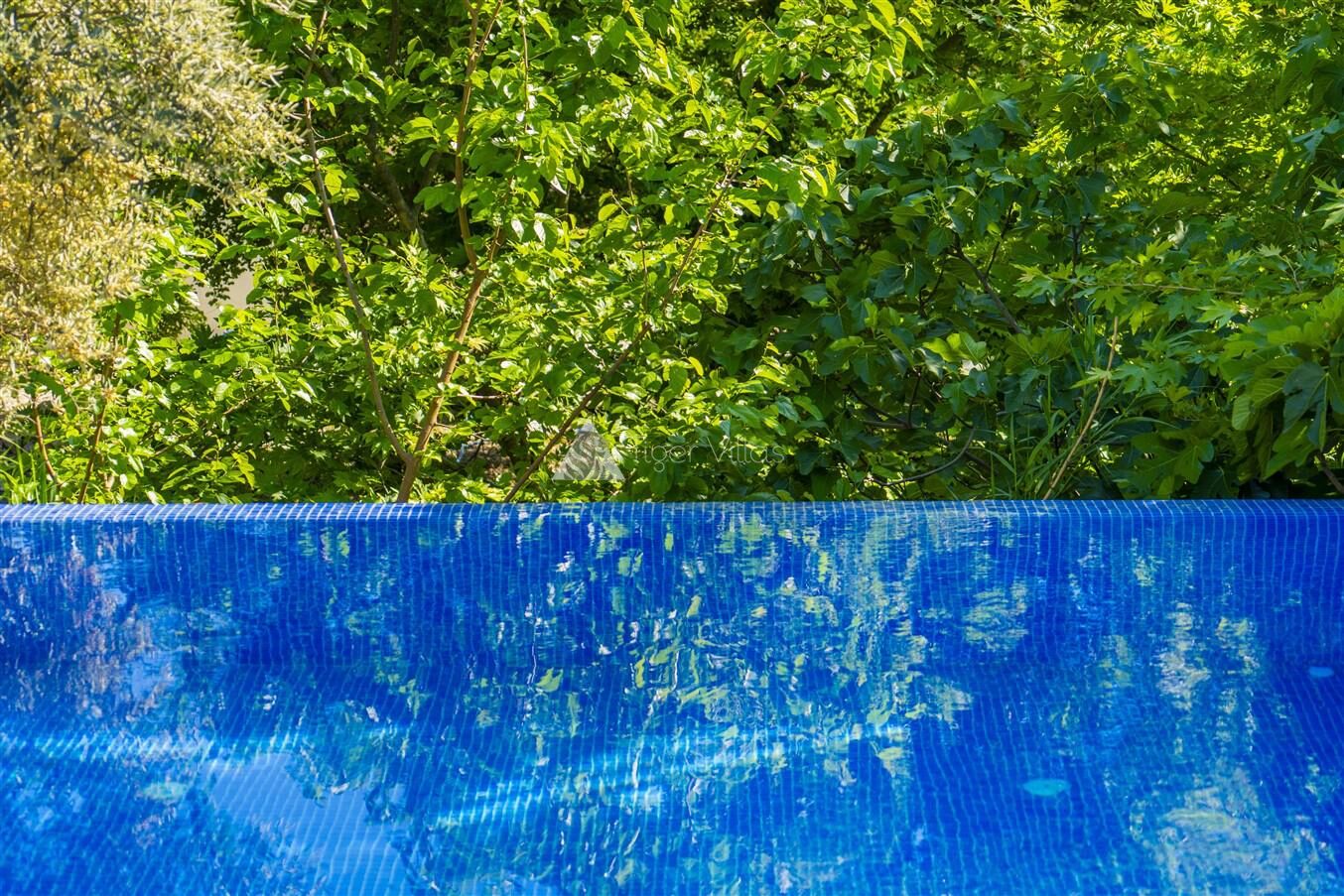 Villa Botanik — 27