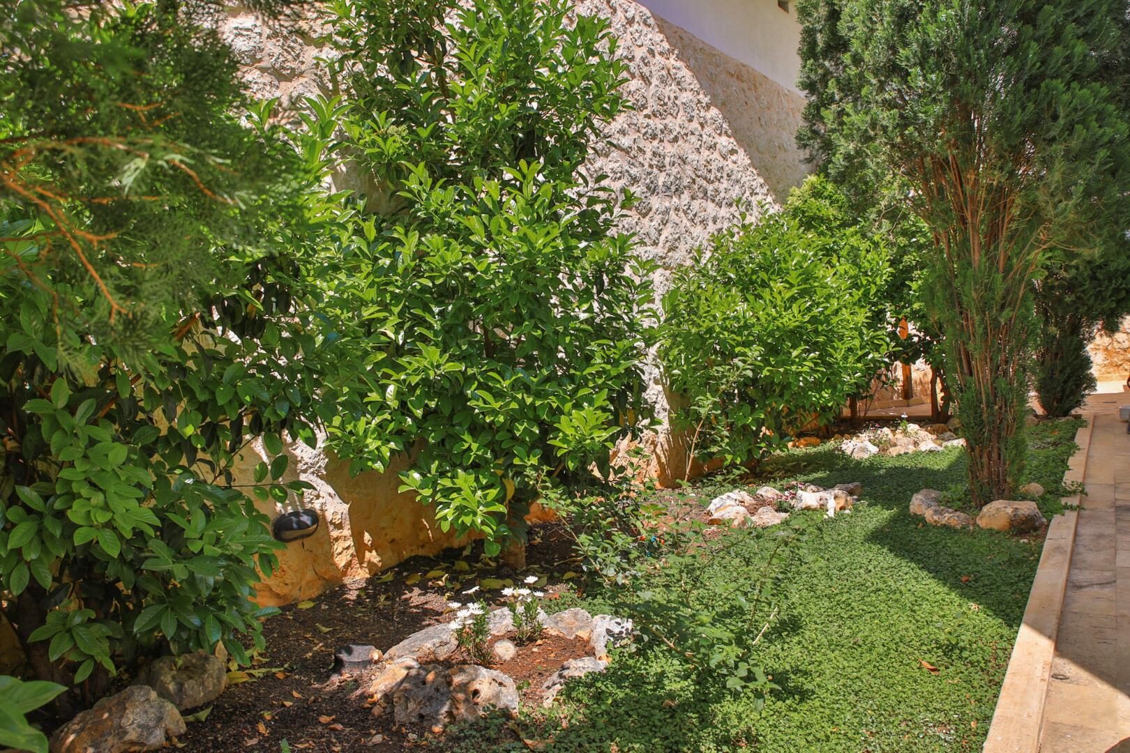 Villa Serta — 12