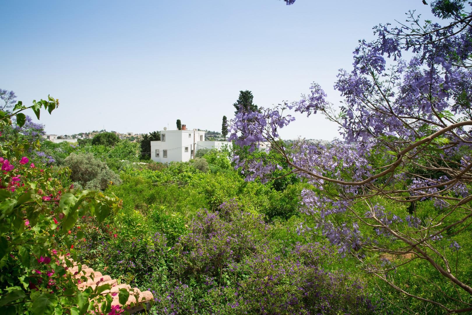 Villa Garden 468 — 21