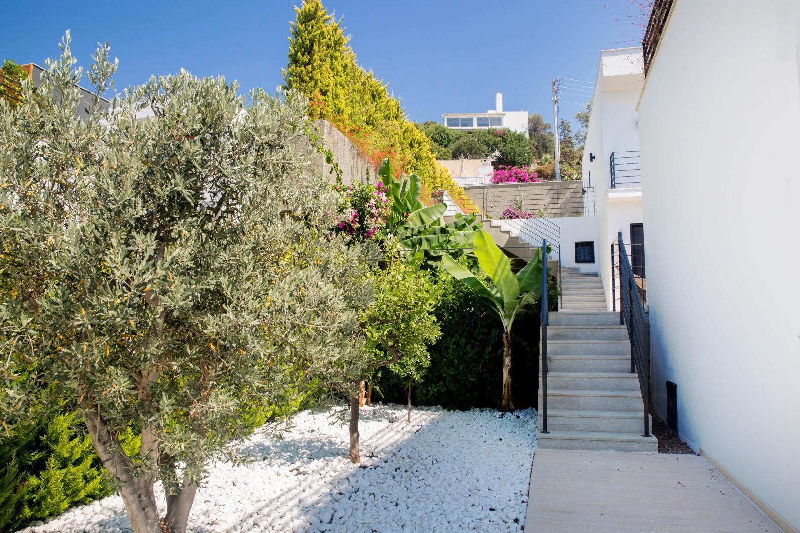 Villa Bambi 443 — 30