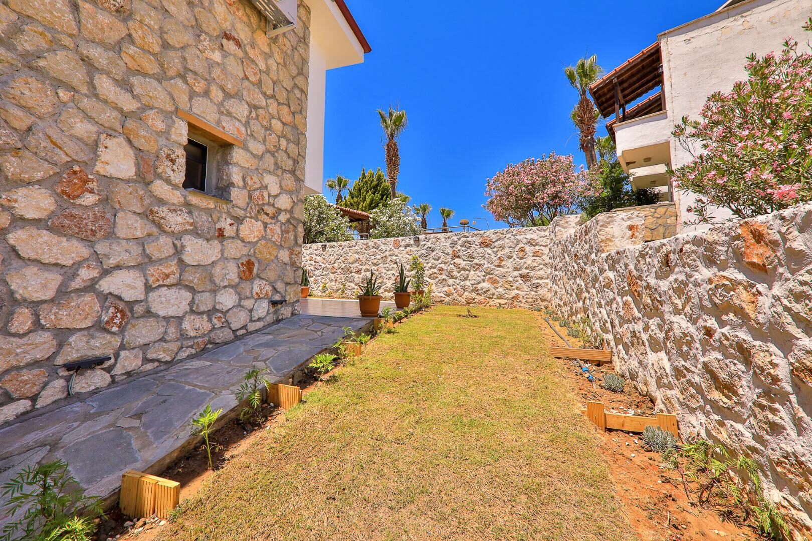 Villa Delfin Green — 49