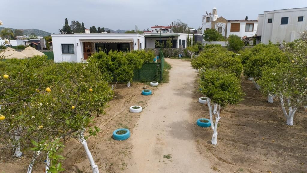 Villa Wilma — 45