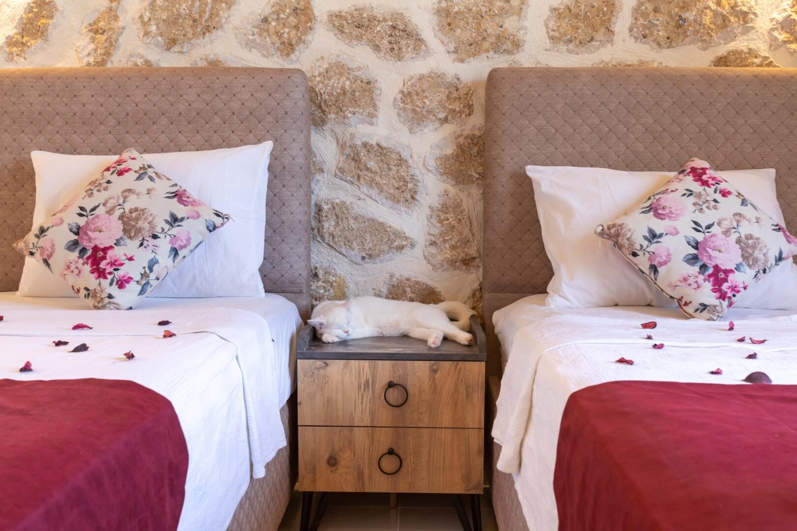 Villa Agarta Sarıbelen — 50