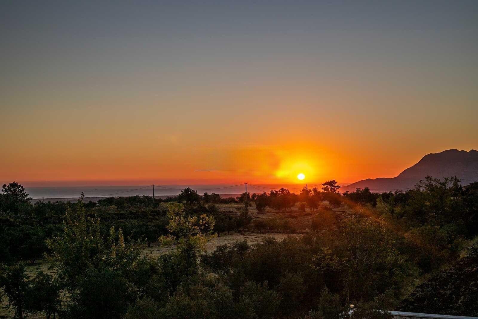 Villa Olivet — 7