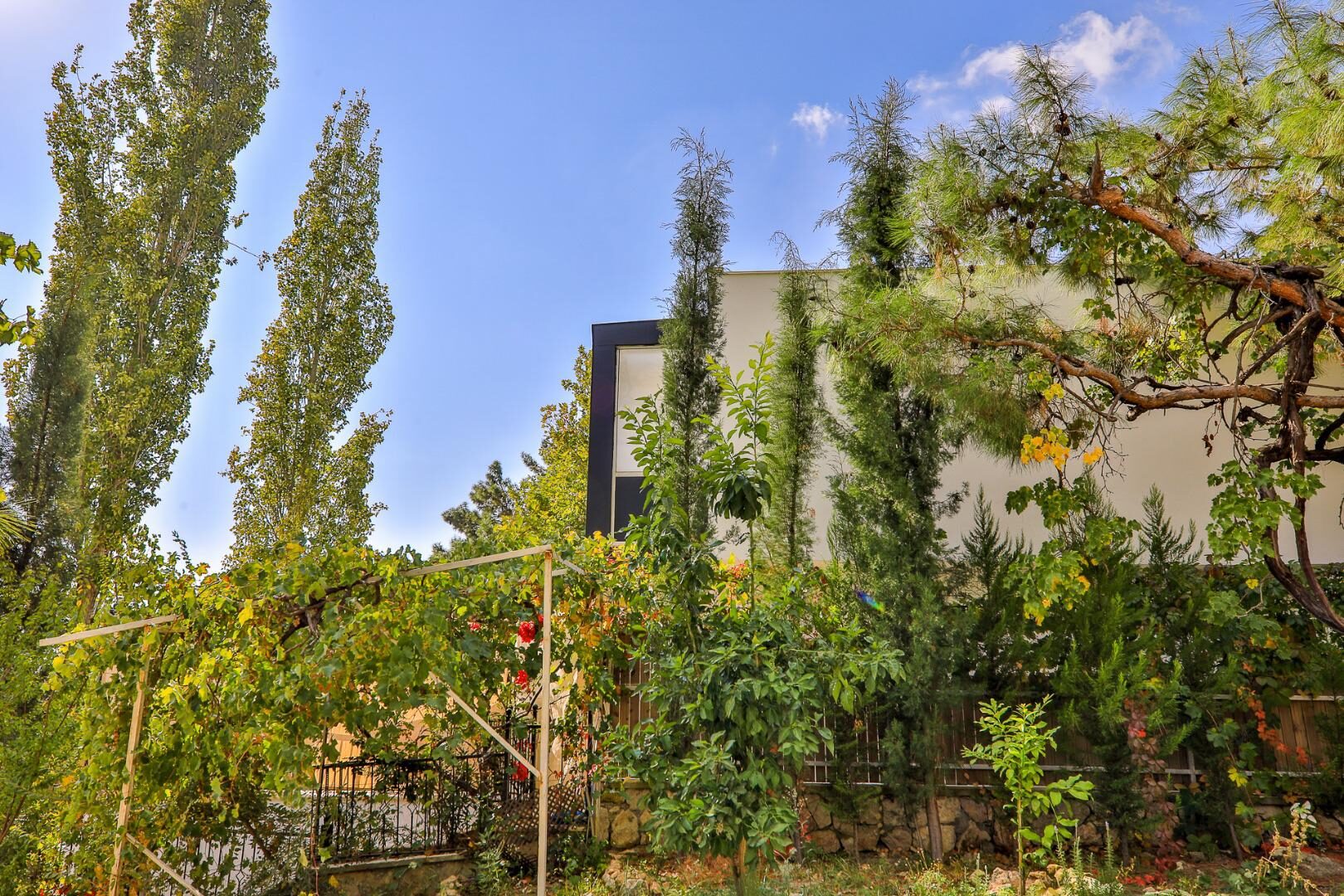 Villa Bella — 87