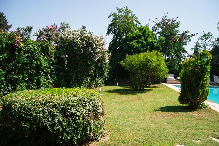 Villa Vg 437 — 8