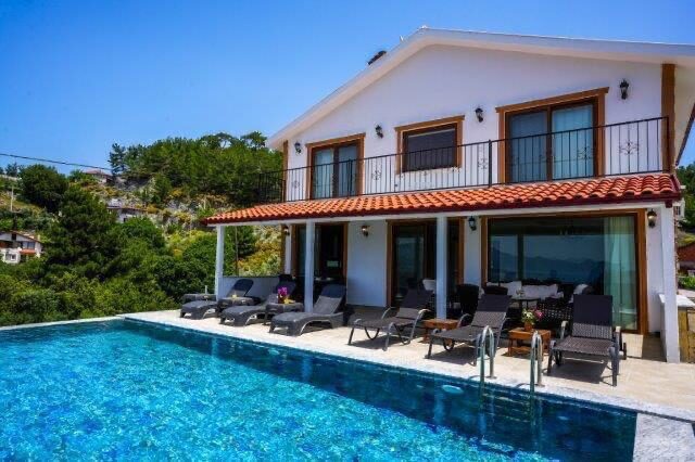 Villa Turtle Life