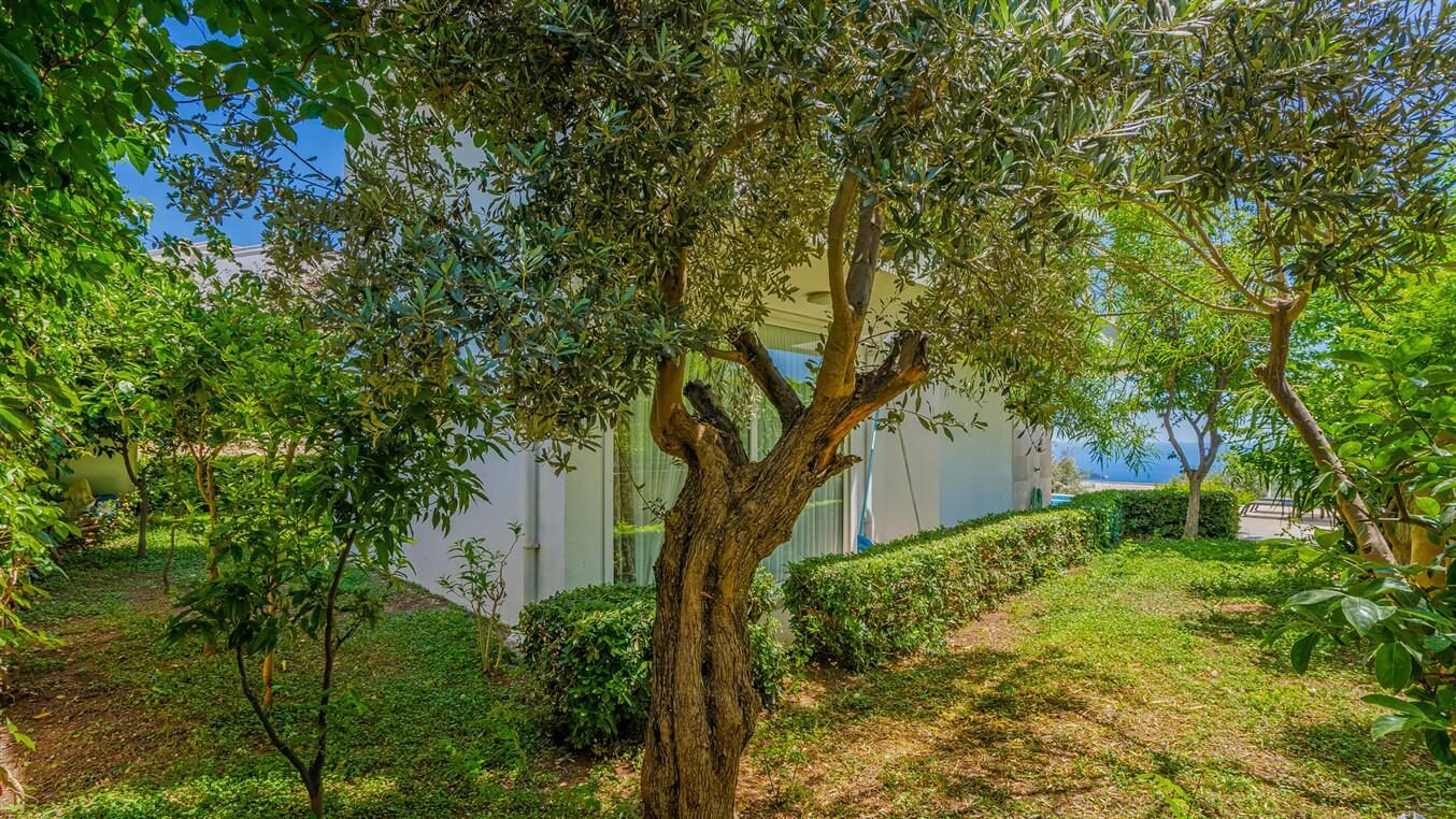 Villa Al Nuzha — 30