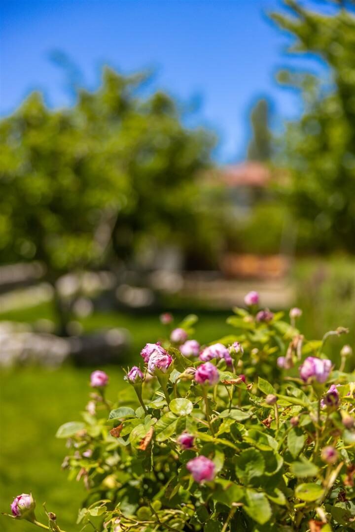 Villa Çınar Seyret — 31