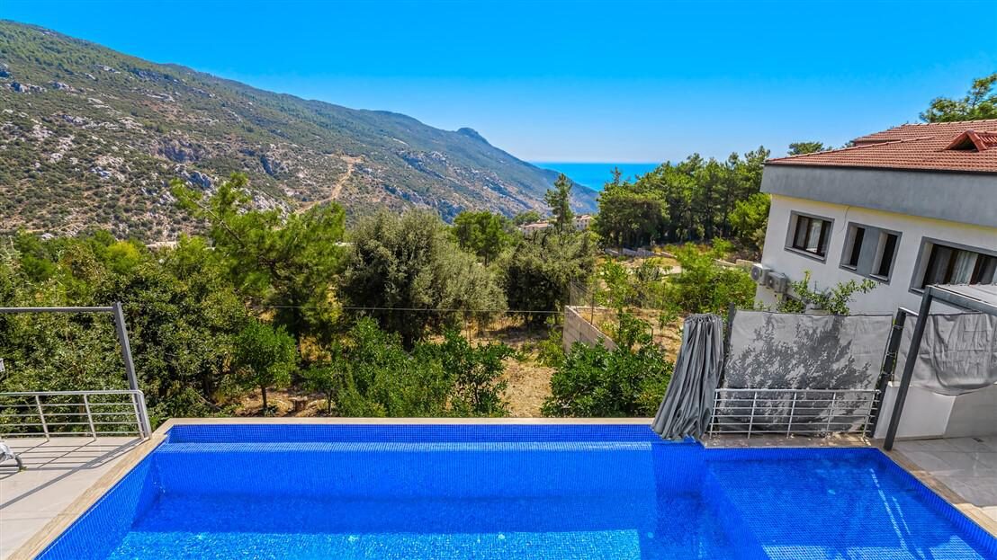 Villa Davidof — 42
