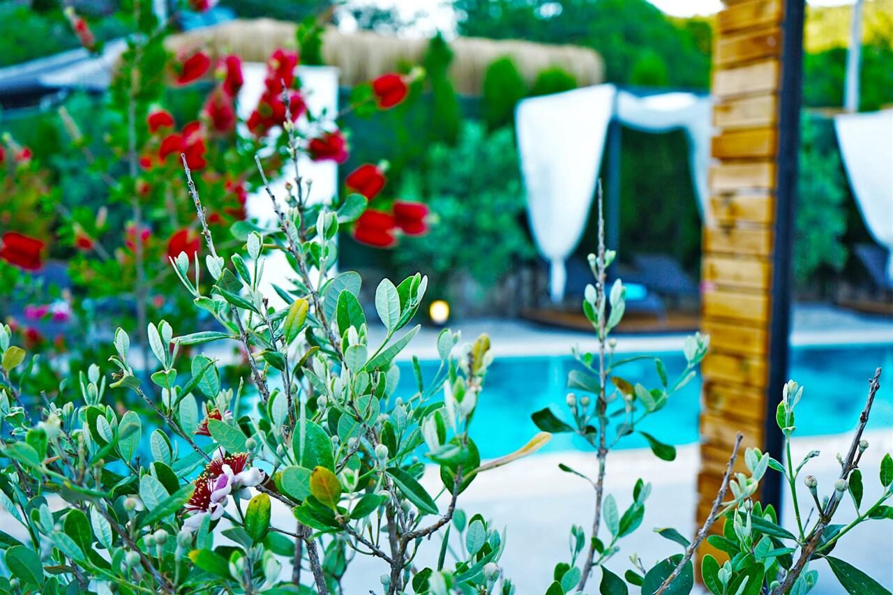 Villa Mamon Luxury Life — 157