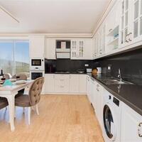 Villa İnfinity – villa for rent in Lavender Area