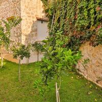 Villa Maysa – villa for rent in Kızıltaş