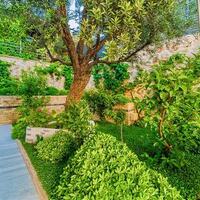 Villa July — 21