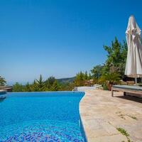 Villa Zeytin Evi Pool 3 – villa for rent in İslamlar