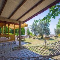 Villa Zeytin Evi Garden & terrace 4 – villa for rent in İslamlar