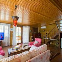 Villa Zeytin Evi – villa for rent in İslamlar