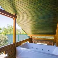 Villa Zeytin Evi Jacuzzi, sauna & hammam 1 – villa for rent in İslamlar