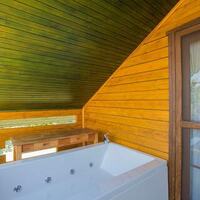 Villa Zeytin Evi Jacuzzi, sauna & hammam 3 – villa for rent in İslamlar