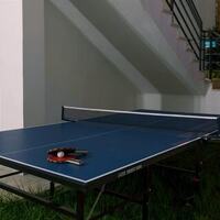 Villa Primavera — 14
