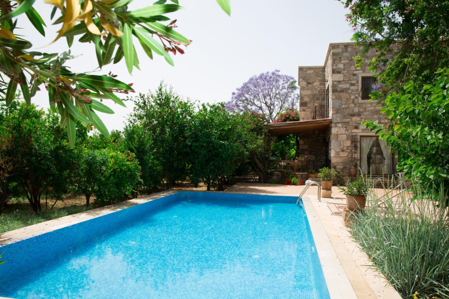 Villa Garden Bodrum